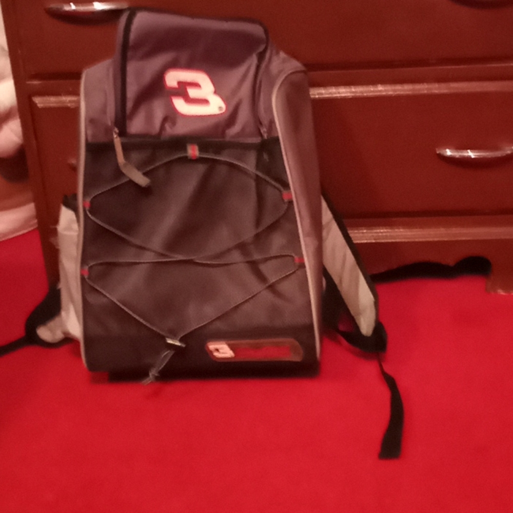 Earnhardt cooler.